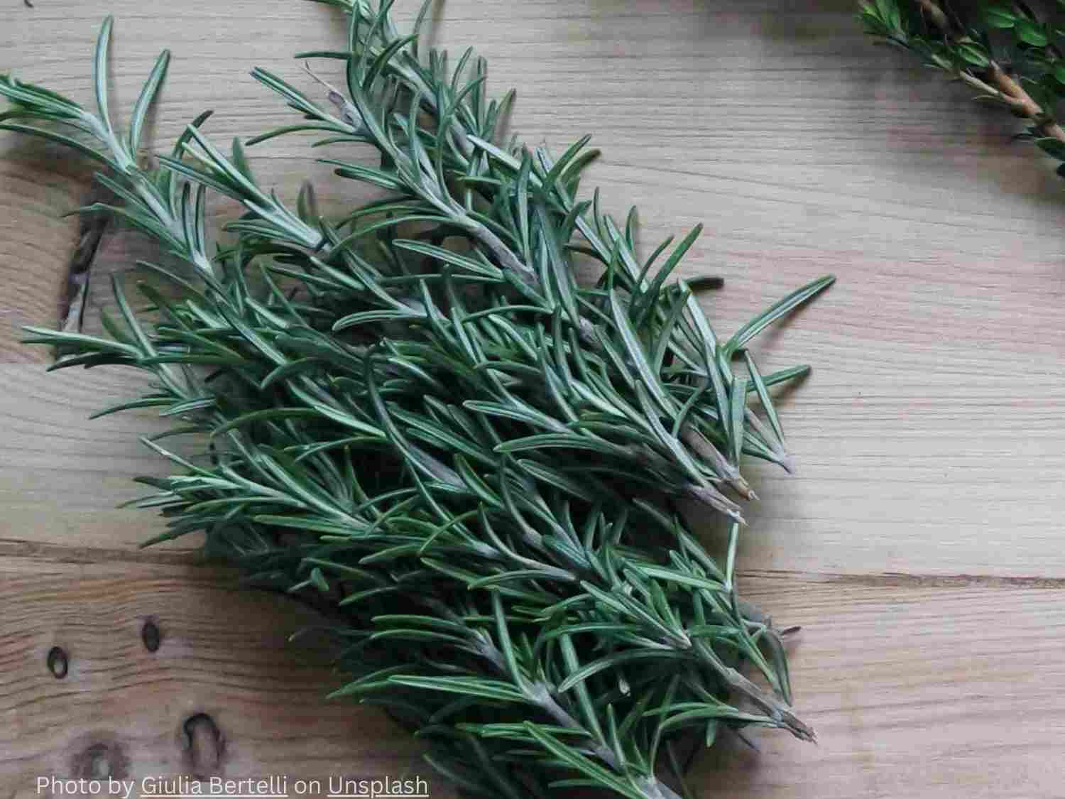 Rosemary Tea Benefits and Uses